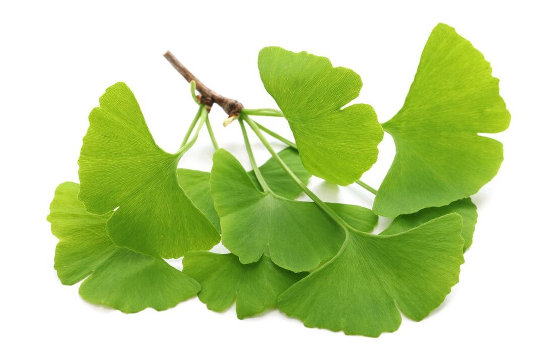 ginko biloba v kvapkách Alcozar